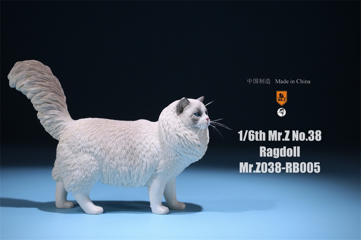 Mr.Z Studio 1:6 Ragdoll Figure Cute Cat Pet Animal Model Resin Collector Decoration Toy Decoration Ornaments Birthday Gift Doll