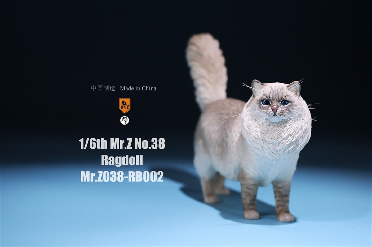 Mr.Z Studio 1:6 Ragdoll Figure Cute Cat Pet Animal Model Resin Collector Decoration Toy Decoration Ornaments Birthday Gift Doll