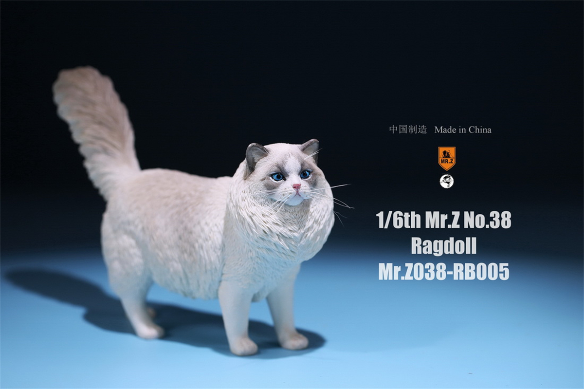 Mr.Z Studio 1:6 Ragdoll Figure Cute Cat Pet Animal Model Resin Collector Decoration Toy Decoration Ornaments Birthday Gift Doll