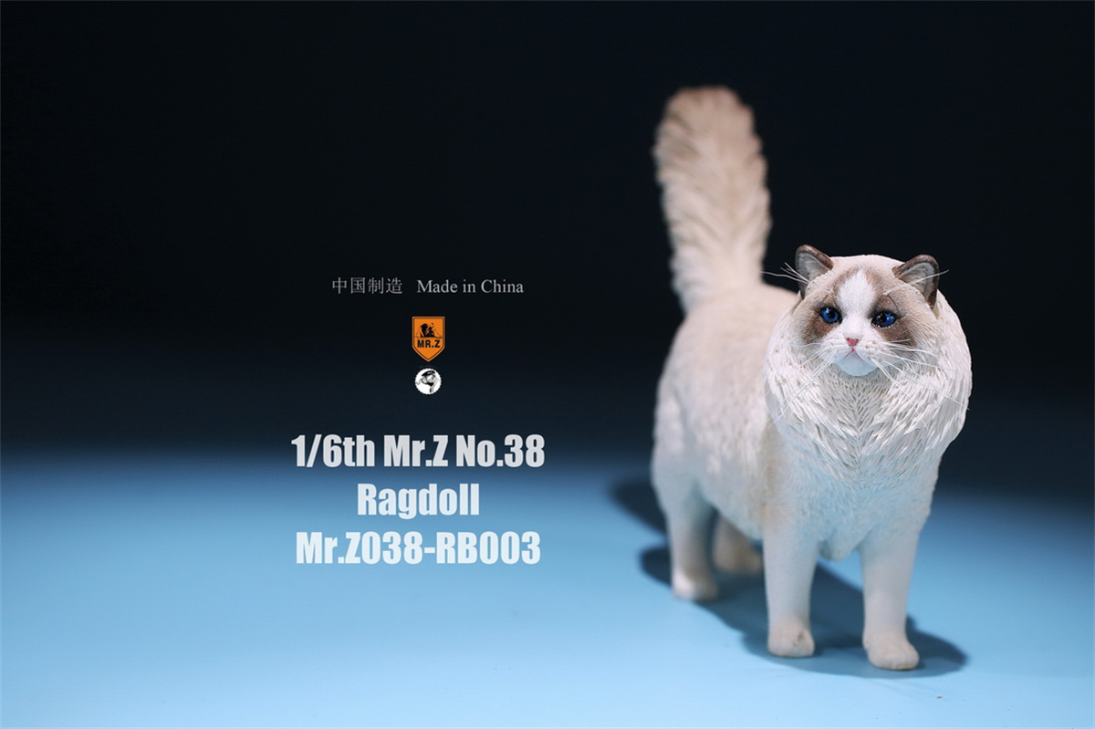 Mr.Z Studio 1:6 Ragdoll Figure Cute Cat Pet Animal Model Resin Collector Decoration Toy Decoration Ornaments Birthday Gift Doll