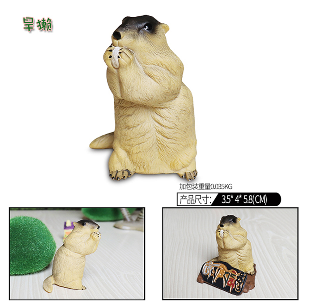 Small Animal Tibetan Fox Long-eared Hedgehog Bear Raccoon Pangolin Bobak Marmot Figure Model Doll Series Decoration Toy Gift