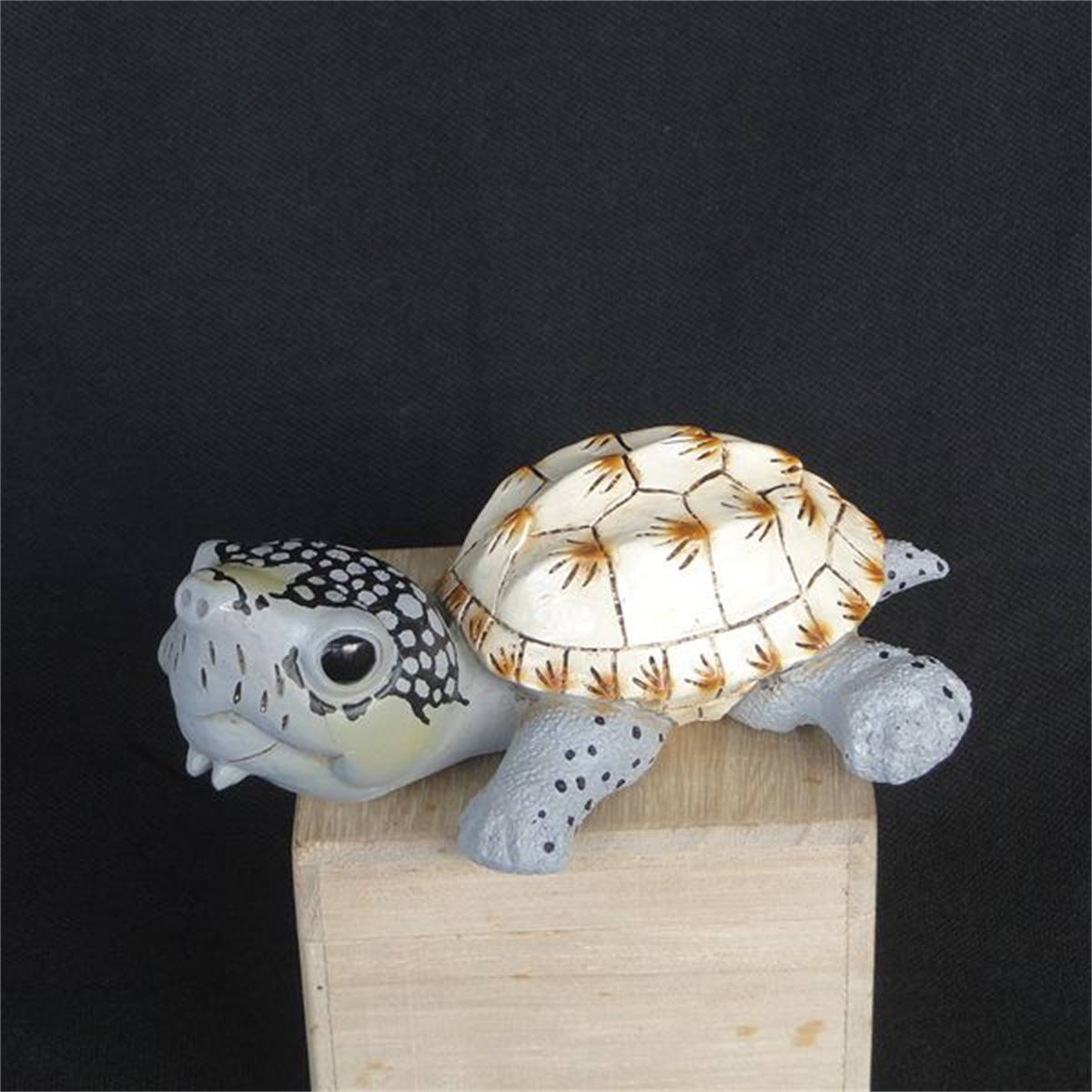 Tortoise Animal Figure Testudinidae Mini Size Model Box Turtle Desk Decoration Astrochelys Radiata Ornaments Geochelone Sulcata