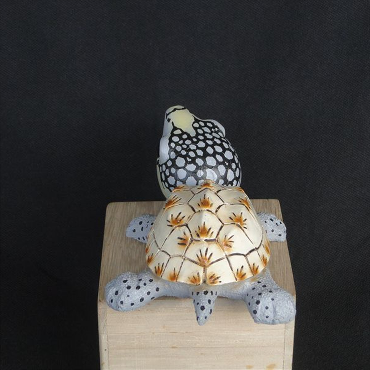 Tortoise Animal Figure Testudinidae Mini Size Model Box Turtle Desk Decoration Astrochelys Radiata Ornaments Geochelone Sulcata