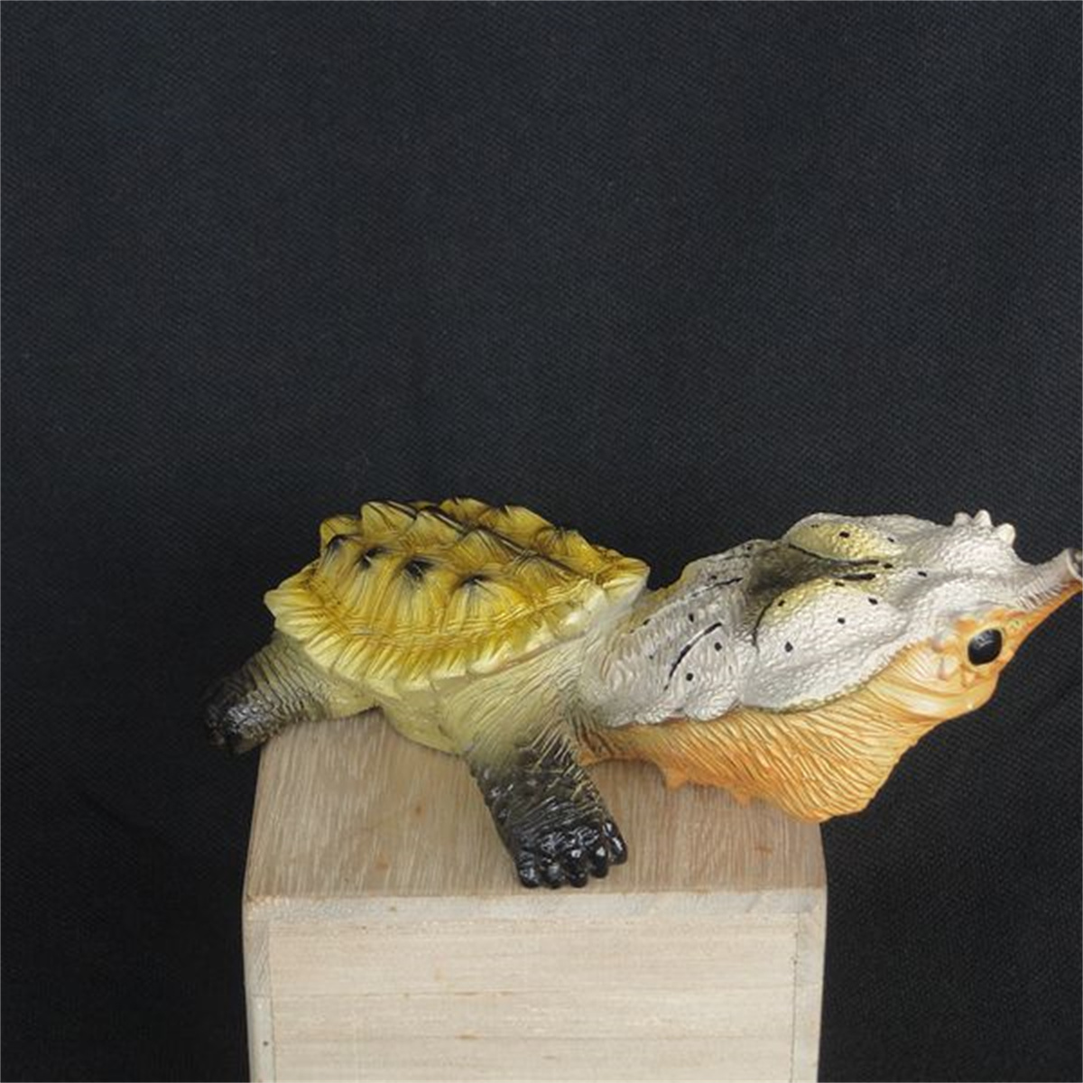 Tortoise Animal Figure Testudinidae Mini Size Model Box Turtle Desk Decoration Astrochelys Radiata Ornaments Geochelone Sulcata