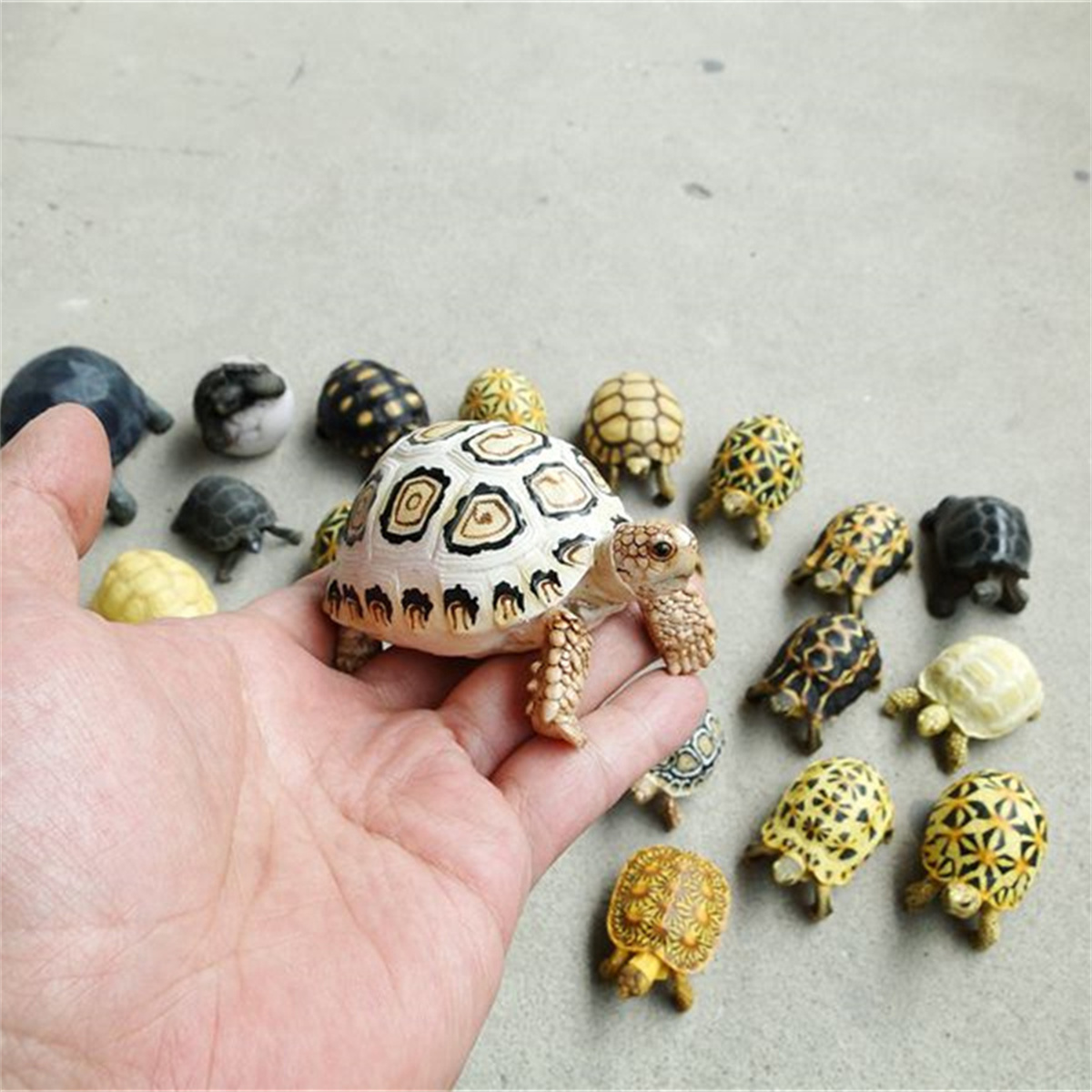 Tortoise Animal Figure Testudinidae Mini Size Model Box Turtle Desk Decoration Astrochelys Radiata Ornaments Geochelone Sulcata