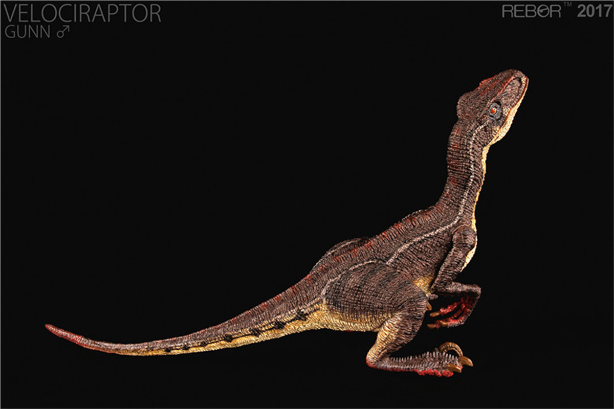 REBOR Velociraptor Couple GUNN & ROSE Figure Squatting Raptor Dinosaur Model Animal Decor Creative Christmas Gift Collector Toy REBOR Velociraptor Couple GUNN & ROSE Figure Squatting Raptor Dinosaur Model Animal Decor Creative Christmas Gift Collector Toy
