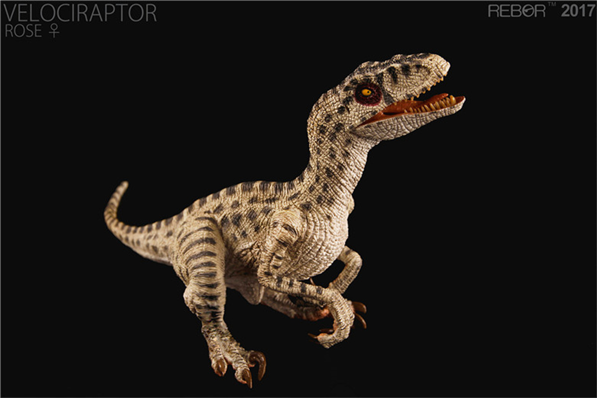 REBOR Velociraptor Couple GUNN & ROSE Figure Squatting Raptor Dinosaur Model Animal Decor Creative Christmas Gift Collector Toy REBOR Velociraptor Couple GUNN & ROSE Figure Squatting Raptor Dinosaur Model Animal Decor Creative Christmas Gift Collector Toy