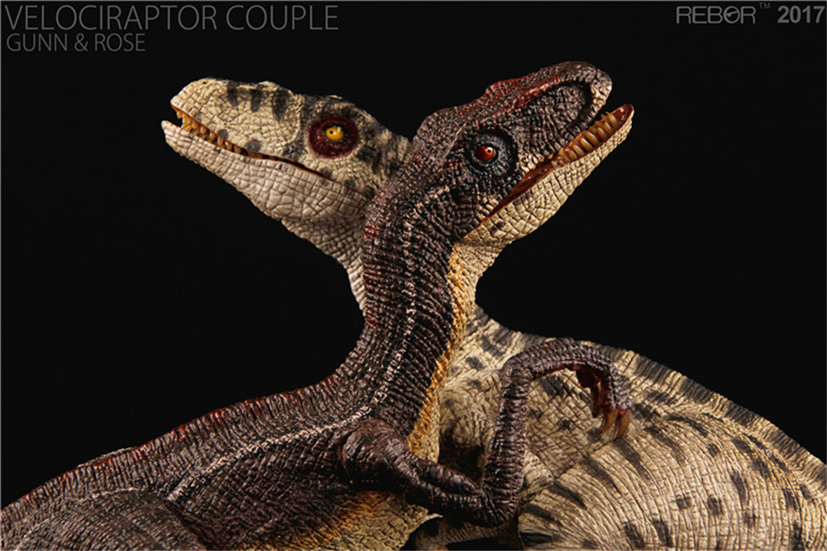 REBOR Velociraptor Couple GUNN & ROSE Figure Squatting Raptor Dinosaur Model Animal Decor Creative Christmas Gift Collector Toy REBOR Velociraptor Couple GUNN & ROSE Figure Squatting Raptor Dinosaur Model Animal Decor Creative Christmas Gift Collector Toy