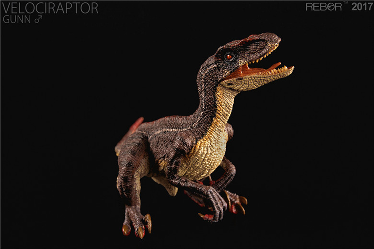 REBOR Velociraptor Couple GUNN & ROSE Figure Squatting Raptor Dinosaur Model Animal Decor Creative Christmas Gift Collector Toy REBOR Velociraptor Couple GUNN & ROSE Figure Squatting Raptor Dinosaur Model Animal Decor Creative Christmas Gift Collector Toy