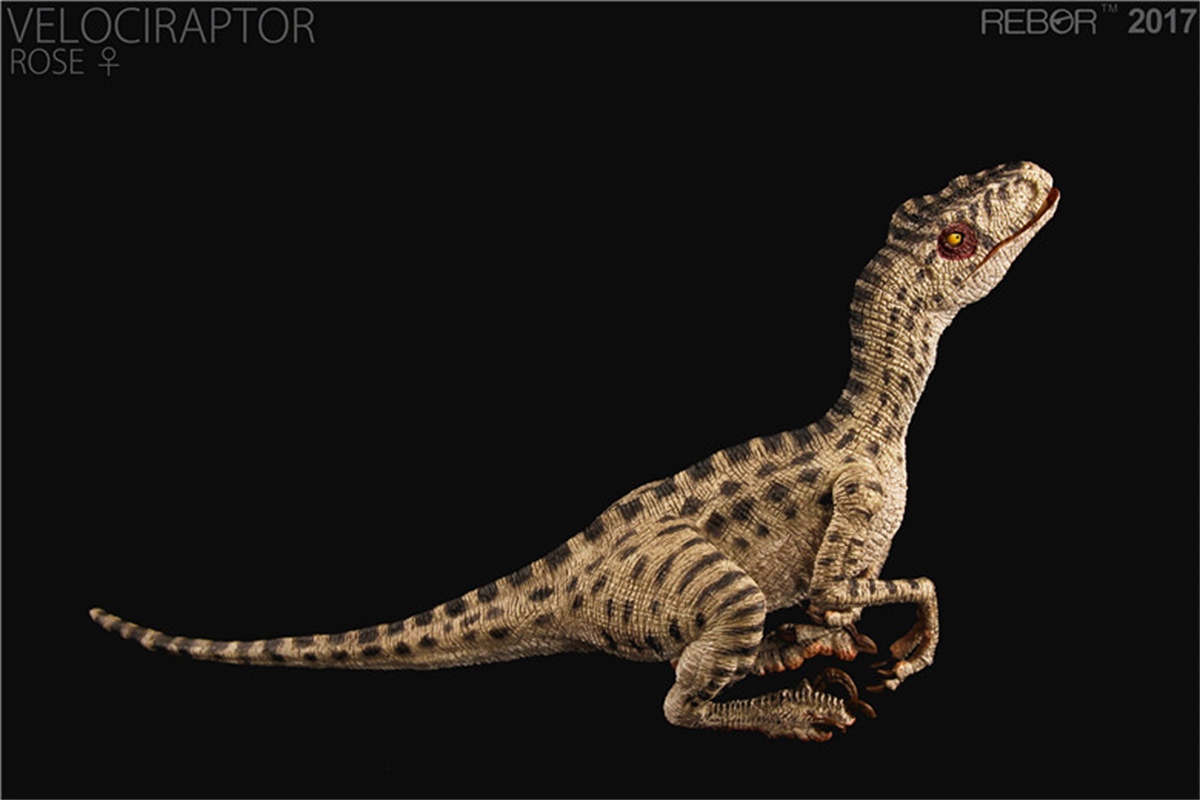 REBOR Velociraptor Couple GUNN & ROSE Figure Squatting Raptor Dinosaur Model Animal Decor Creative Christmas Gift Collector Toy REBOR Velociraptor Couple GUNN & ROSE Figure Squatting Raptor Dinosaur Model Animal Decor Creative Christmas Gift Collector Toy