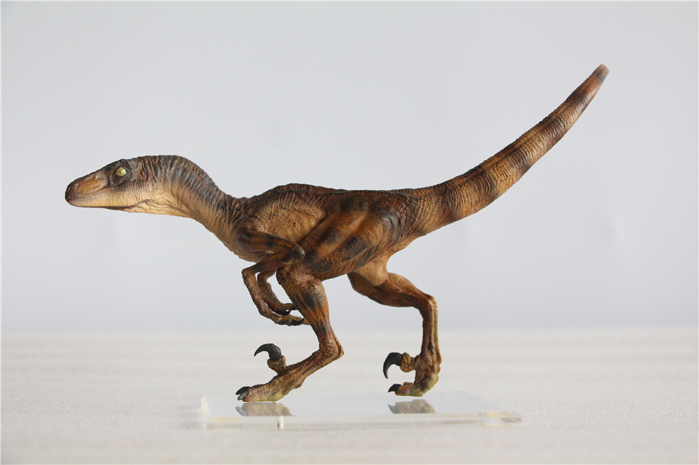 DINO DREAM 1:15 Scale Velociraptor Raptor in the kitchen Figure Dromaeosauridae Dinosaur Model Collector Animal Adult Toy Gift DINO DREAM 1:15 Scale Velociraptor Raptor in the kitchen Figure Dromaeosauridae Dinosaur Model Collector Animal Adult Toy Gift