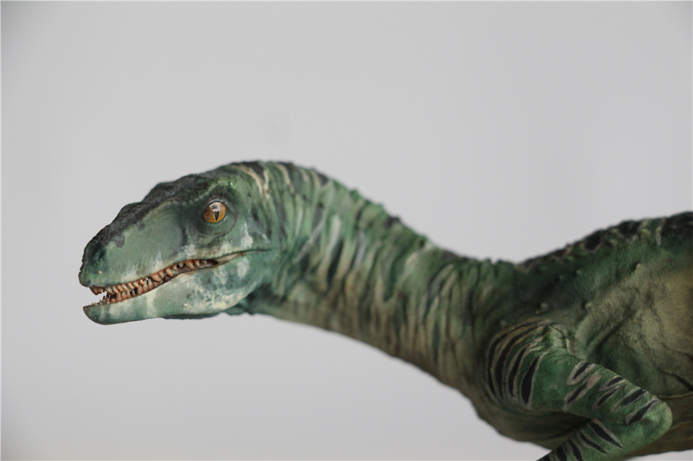 DINO DREAM 1:15 Scale Velociraptor Raptor Figure Dromaeosauridae Dinosaur Model Collector Animal Adult Toy Gift DINO DREAM 1:15 Scale Velociraptor Raptor Figure Dromaeosauridae Dinosaur Model Collector Animal Adult Toy Gift