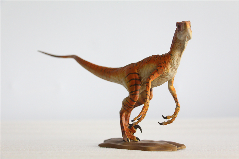 DINO DREAM 1:15 Scale Velociraptor Raptor Figure Dromaeosauridae Dinosaur Model Collector Animal Adult Toy Gift DINO DREAM 1:15 Scale Velociraptor Raptor Figure Dromaeosauridae Dinosaur Model Collector Animal Adult Toy Gift