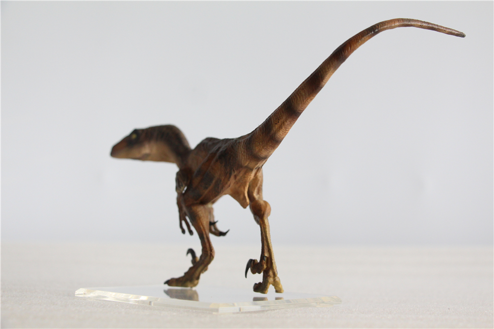 DINO DREAM 1:15 Scale Velociraptor Raptor Figure Dromaeosauridae Dinosaur Model Collector Animal Adult Toy Gift DINO DREAM 1:15 Scale Velociraptor Raptor Figure Dromaeosauridae Dinosaur Model Collector Animal Adult Toy Gift