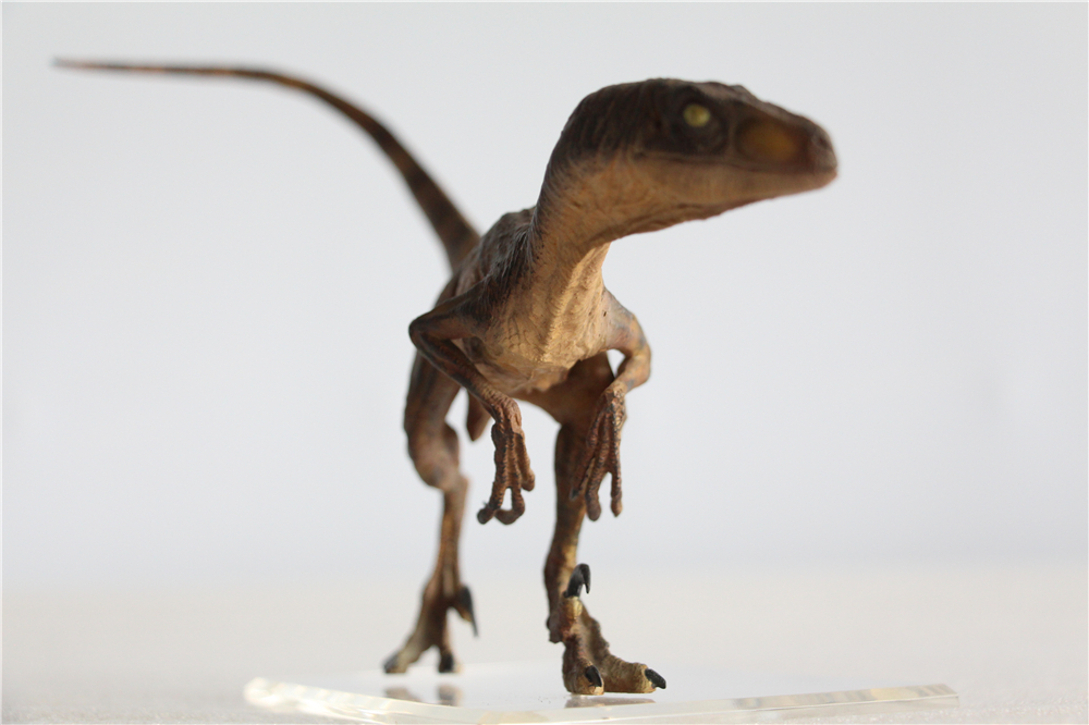 DINO DREAM 1:15 Scale Velociraptor Raptor Figure Dromaeosauridae Dinosaur Model Collector Animal Adult Toy Gift DINO DREAM 1:15 Scale Velociraptor Raptor Figure Dromaeosauridae Dinosaur Model Collector Animal Adult Toy Gift