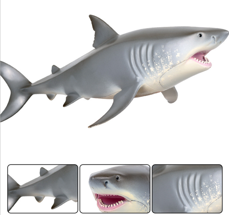 Great White Sea Life Shark Megalodon Tiger Shark Ocean Animal Figure Collector Toy Gift Education Teaching Great White Sea Life Shark Megalodon Tiger Shark Ocean Animal Figure Collector Toy Gift Education Teaching