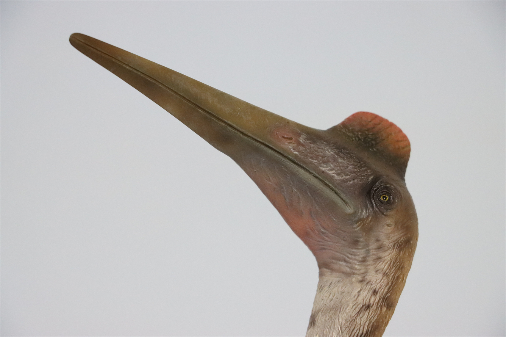 M.See 1/35 Quetzalcoatlus Statue Pterosauria Dinosaur Resin Pterosaur Collector Toys Animal Art Model Decoration Gift