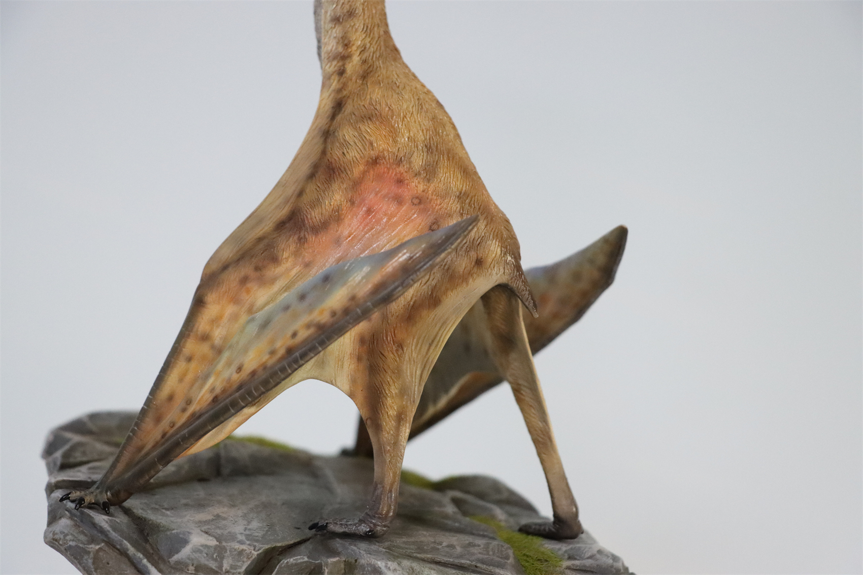 M.See 1/35 Quetzalcoatlus Statue Pterosauria Dinosaur Resin Pterosaur Collector Toys Animal Art Model Decoration Gift