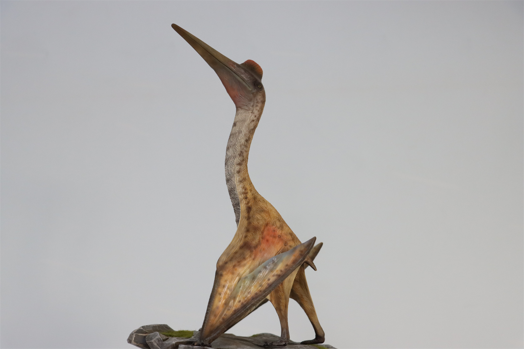 M.See 1/35 Quetzalcoatlus Statue Pterosauria Dinosaur Resin Pterosaur Collector Toys Animal Art Model Decoration Gift