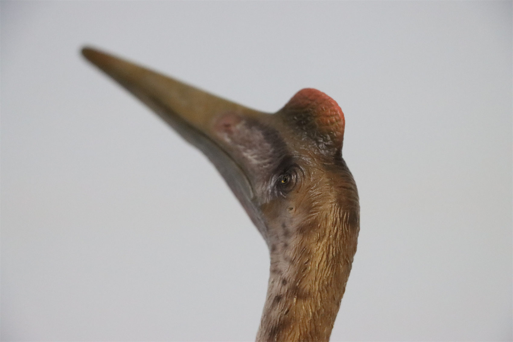 M.See 1/35 Quetzalcoatlus Statue Pterosauria Dinosaur Resin Pterosaur Collector Toys Animal Art Model Decoration Gift