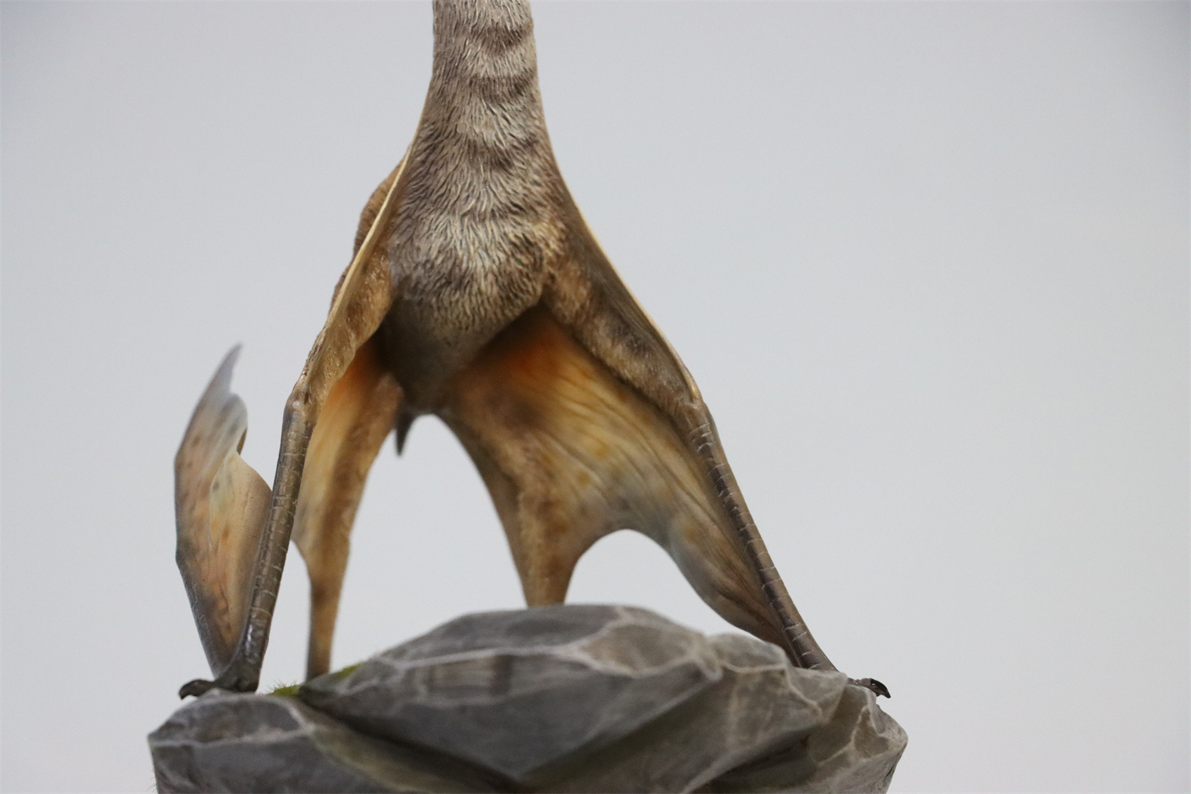 M.See 1/35 Quetzalcoatlus Statue Pterosauria Dinosaur Resin Pterosaur Collector Toys Animal Art Model Decoration Gift