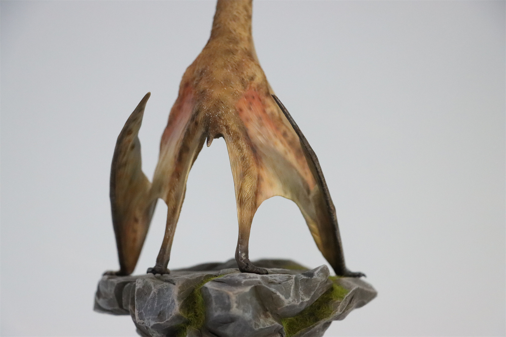 M.See 1/35 Quetzalcoatlus Statue Pterosauria Dinosaur Resin Pterosaur Collector Toys Animal Art Model Decoration Gift