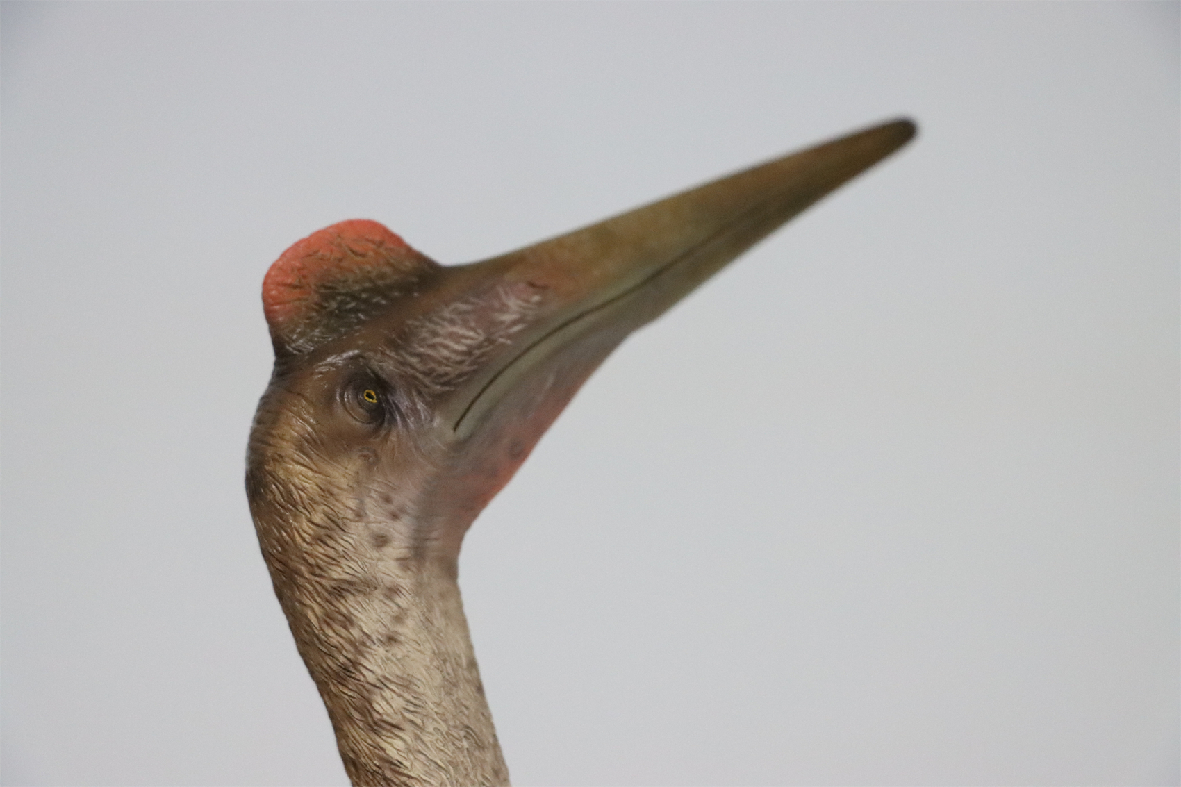 M.See 1/35 Quetzalcoatlus Statue Pterosauria Dinosaur Resin Pterosaur Collector Toys Animal Art Model Decoration Gift