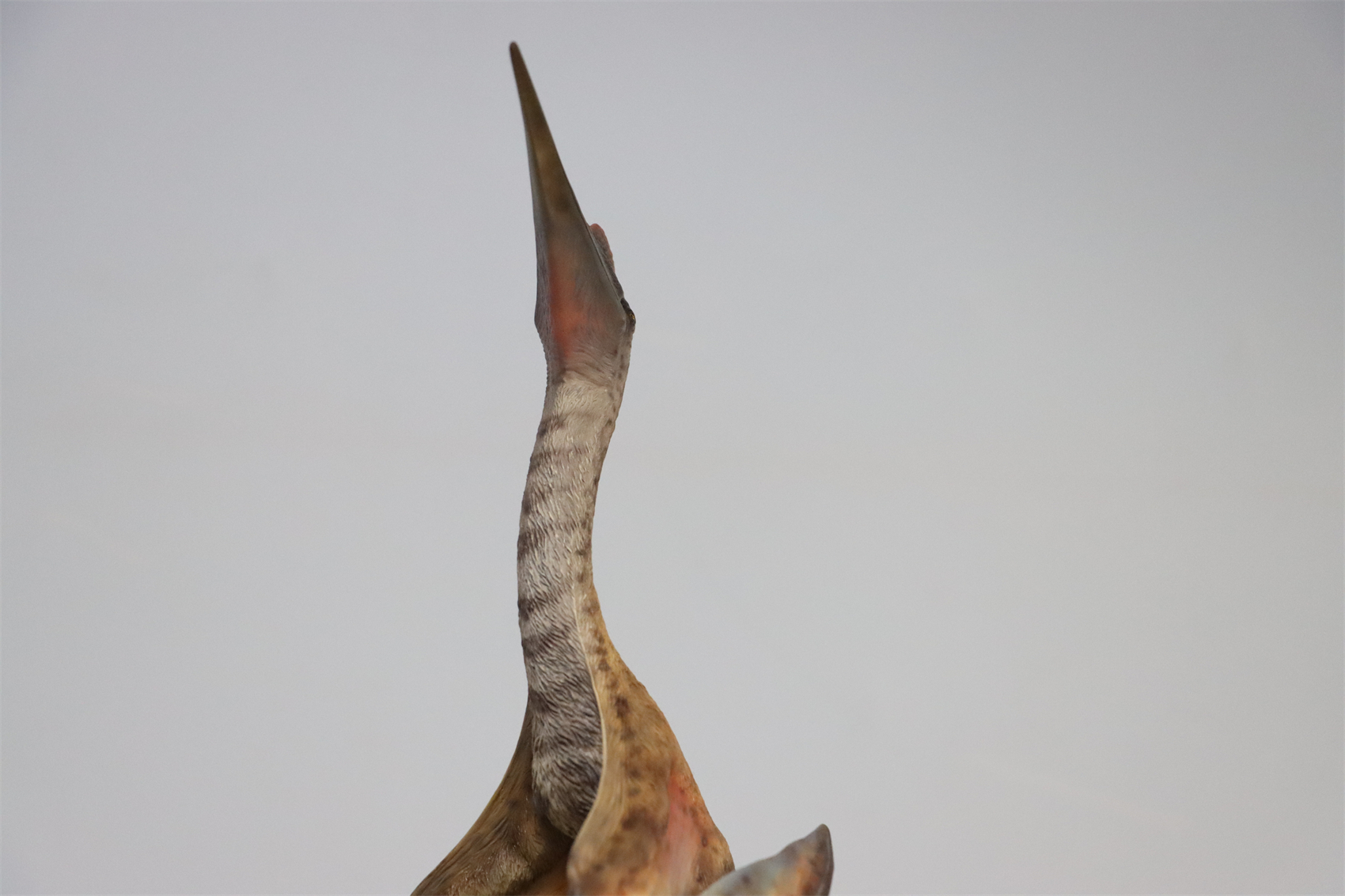 M.See 1/35 Quetzalcoatlus Statue Pterosauria Dinosaur Resin Pterosaur Collector Toys Animal Art Model Decoration Gift