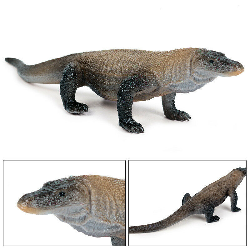 Komodo Dragon Simulation Lizard Figure Collector Toy Animal Model Gift Toy Collector Decor Figures Science Educational Teaching