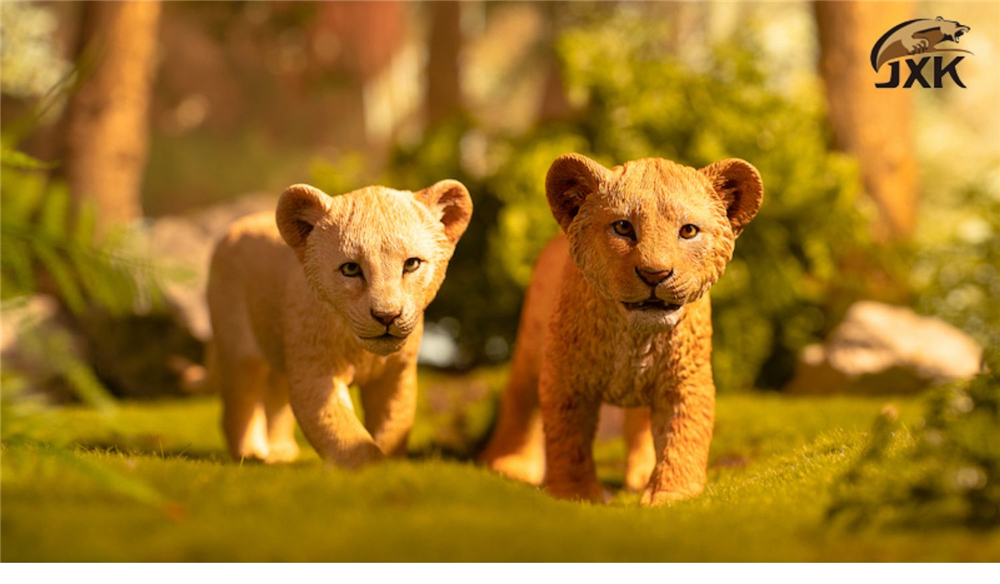 JXK 1:6 Scale Lion Cub Panthera leo Africa Animal Healing Figure Felidae Animal Collector Toy Resin Desktop Decoration Gift