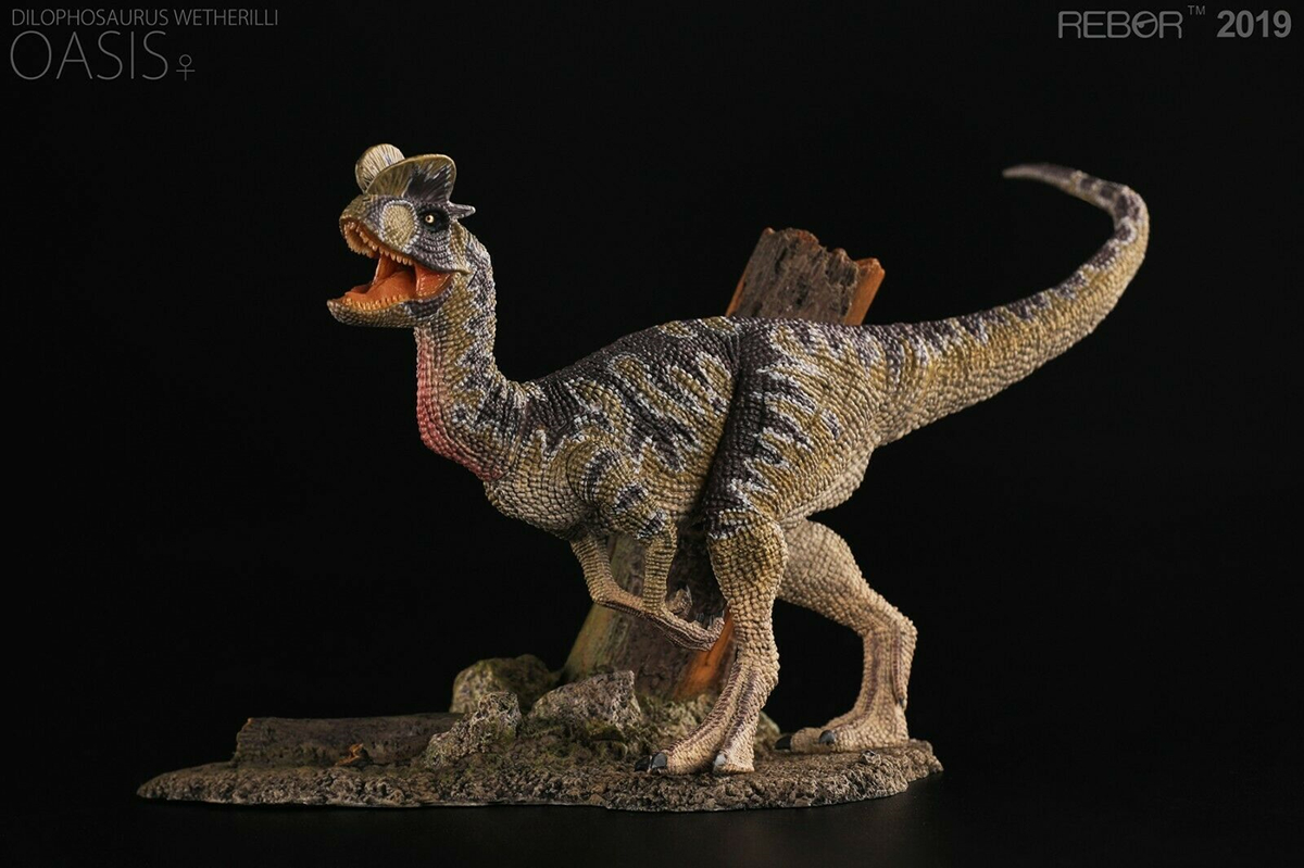 REBOR Jurassic Period Dilophosaurus Couple Dilo Collector Dinosaur Model Ancient Animal Decor Toy Gift