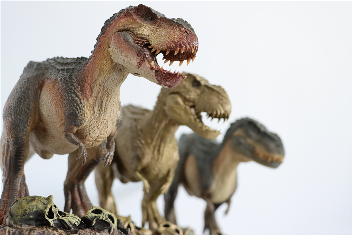 IN STOCK! Nanmu 1:35 Vastatosaurus Rex Shadow Monarch Figure V-Rex V Rex Tyrannosaurus Dinosaur Toy Collector Animal Adult IN STOCK! Nanmu 1:35 Vastatosaurus Rex Shadow Monarch Figure V-Rex V Rex Tyrannosaurus Dinosaur Toy Collector Animal Adult