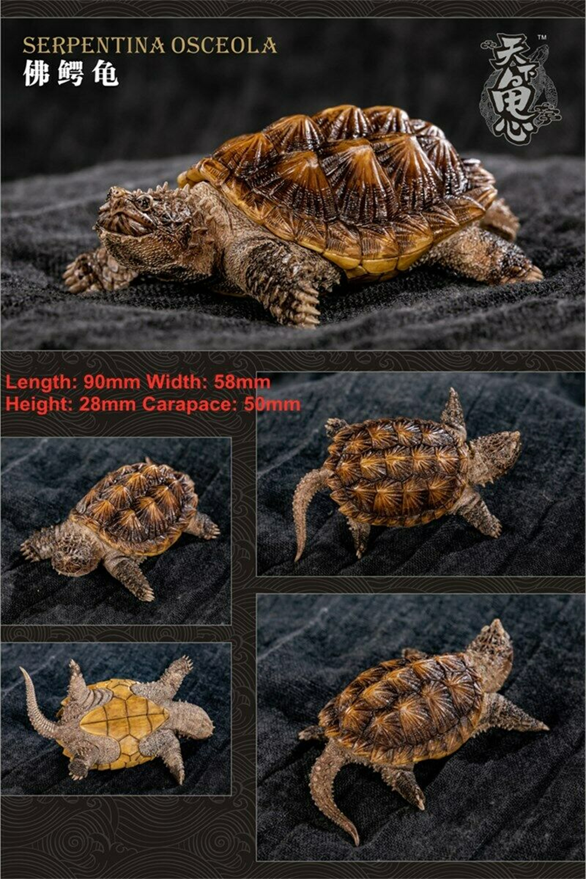 Mini Turtle Model Common Box Turtle Osceola Wild Animal Collector Toys Crafts Souvenirs Gift Doll Car Tea Table Decor Original