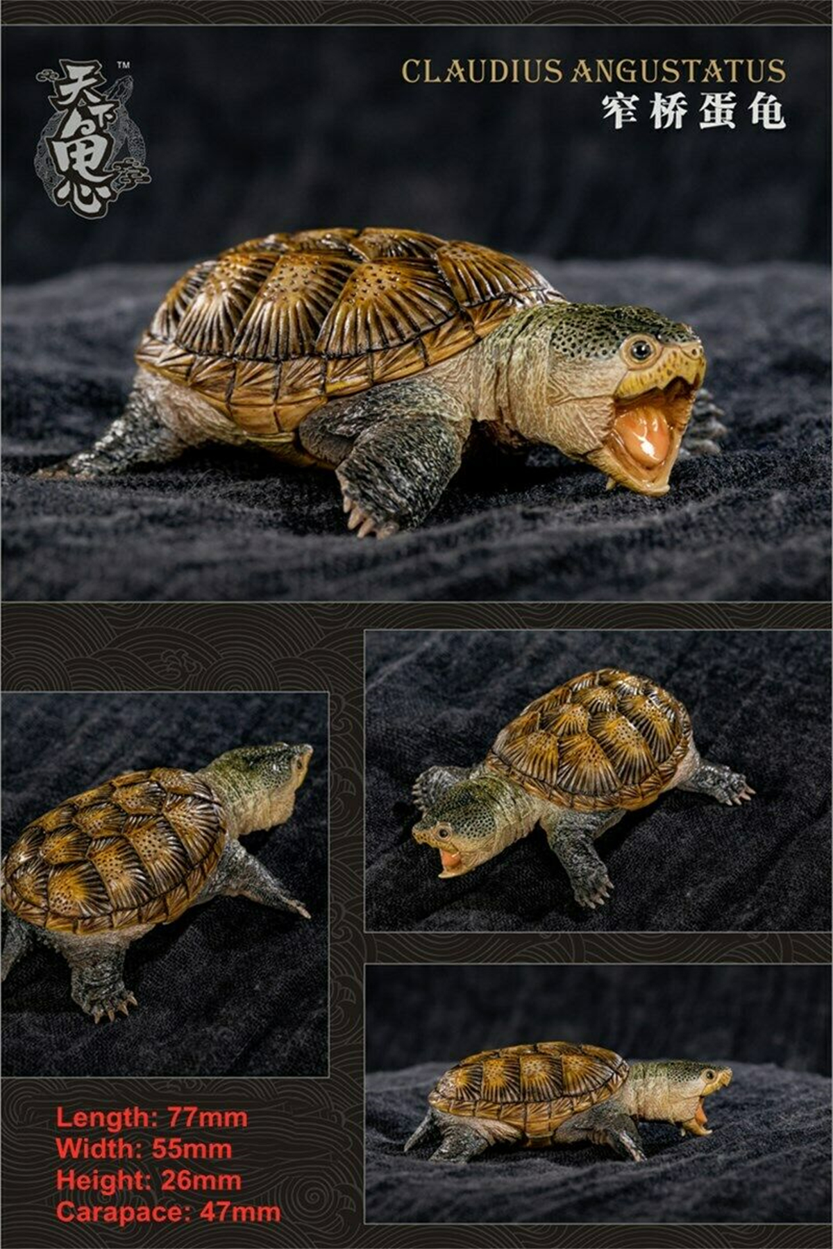 Mini Turtle Model Common Box Turtle Osceola Wild Animal Collector Toys Crafts Souvenirs Gift Doll Car Tea Table Decor Original
