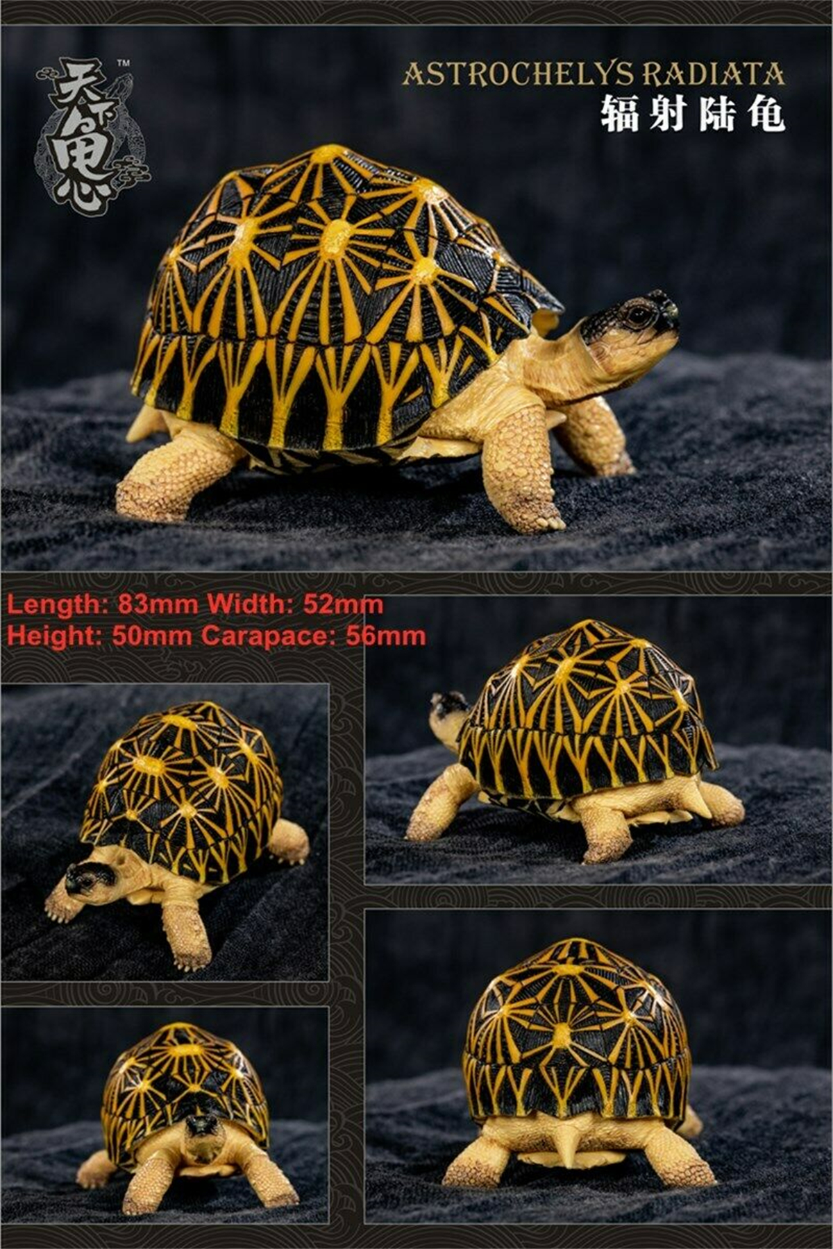 Mini Turtle Model Common Box Turtle Osceola Wild Animal Collector Toys Crafts Souvenirs Gift Doll Car Tea Table Decor Original