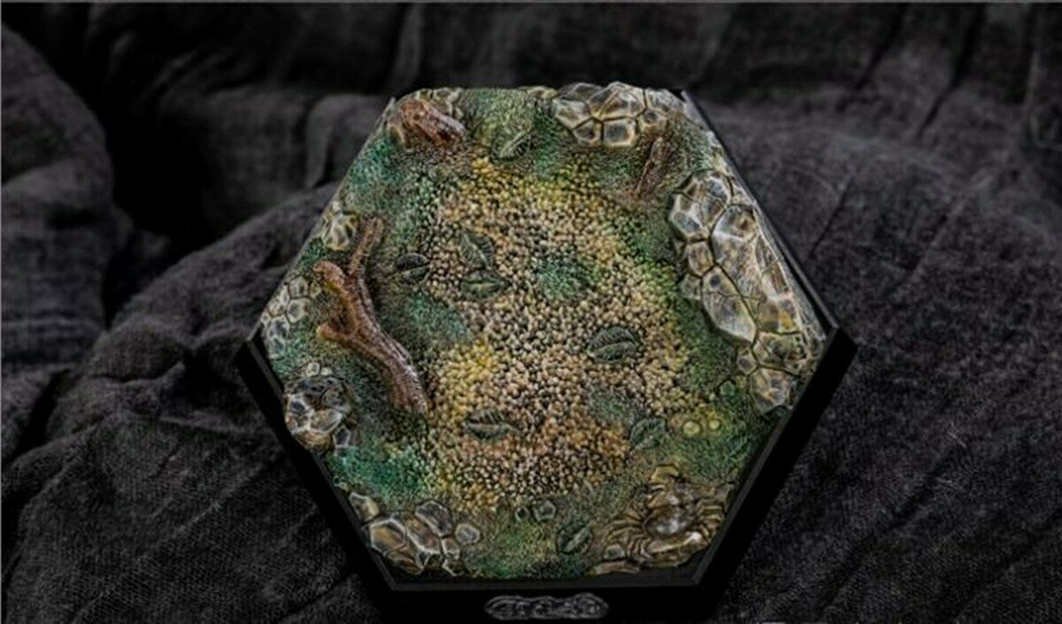 Mini Turtle Model Common Box Turtle Osceola Wild Animal Collector Toys Crafts Souvenirs Gift Doll Car Tea Table Decor Original