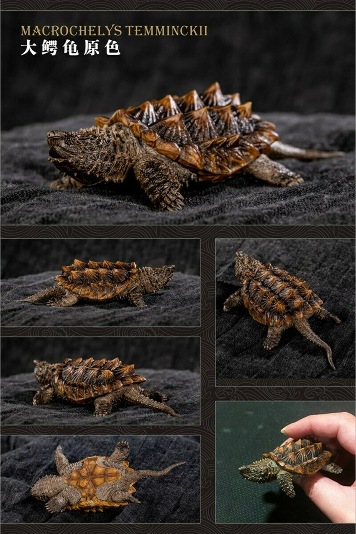 Mini Turtle Model Common Box Turtle Osceola Wild Animal Collector Toys Crafts Souvenirs Gift Doll Car Tea Table Decor Original