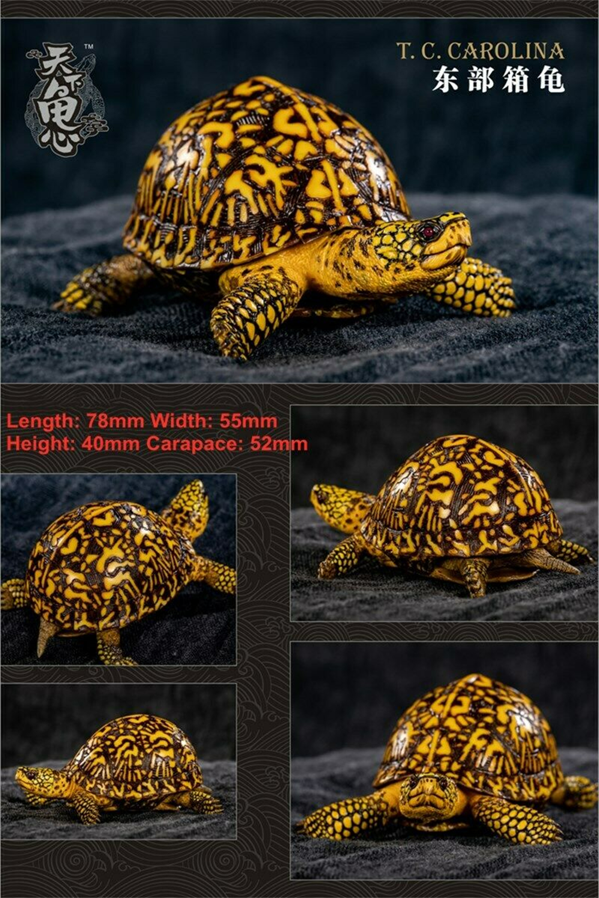 Mini Turtle Model Common Box Turtle Osceola Wild Animal Collector Toys Crafts Souvenirs Gift Doll Car Tea Table Decor Original