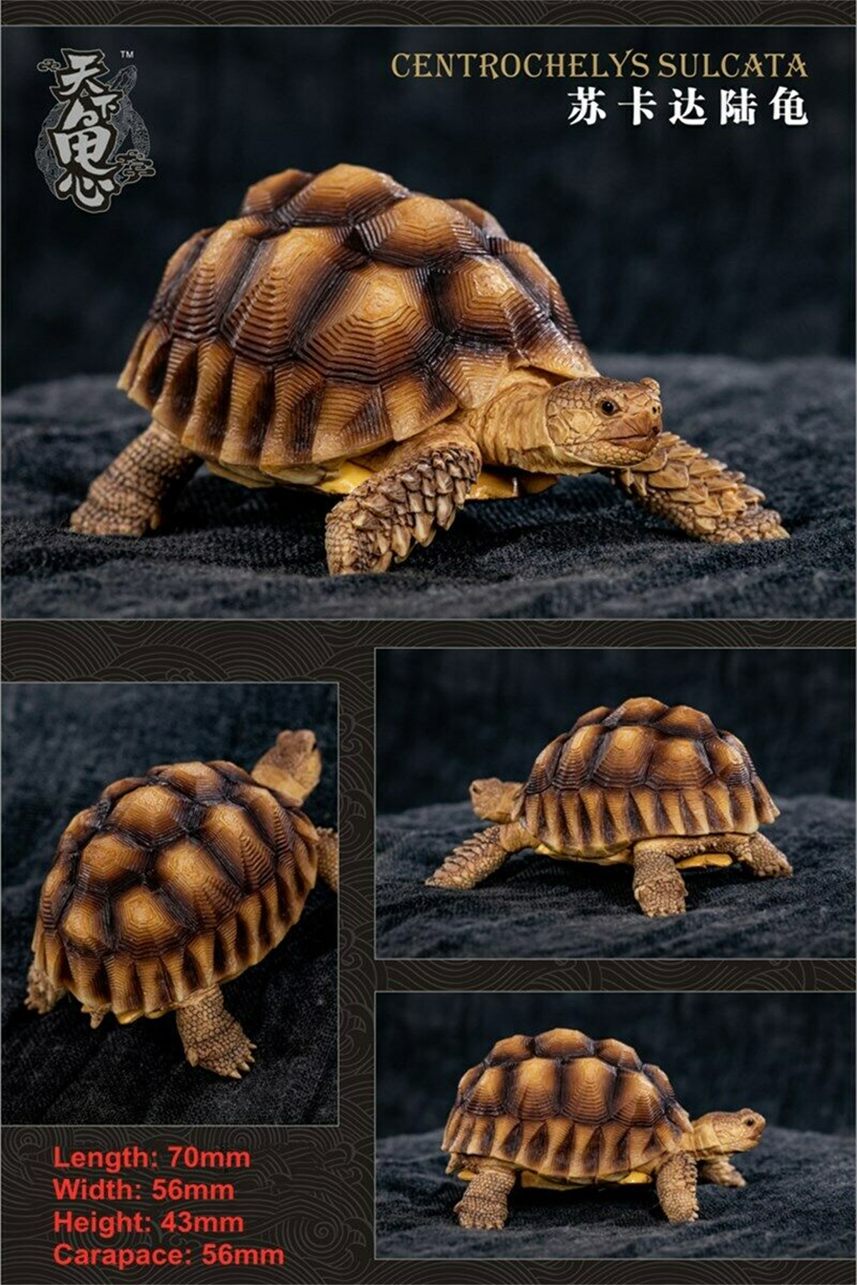 Mini Turtle Model Common Box Turtle Osceola Wild Animal Collector Toys Crafts Souvenirs Gift Doll Car Tea Table Decor Original