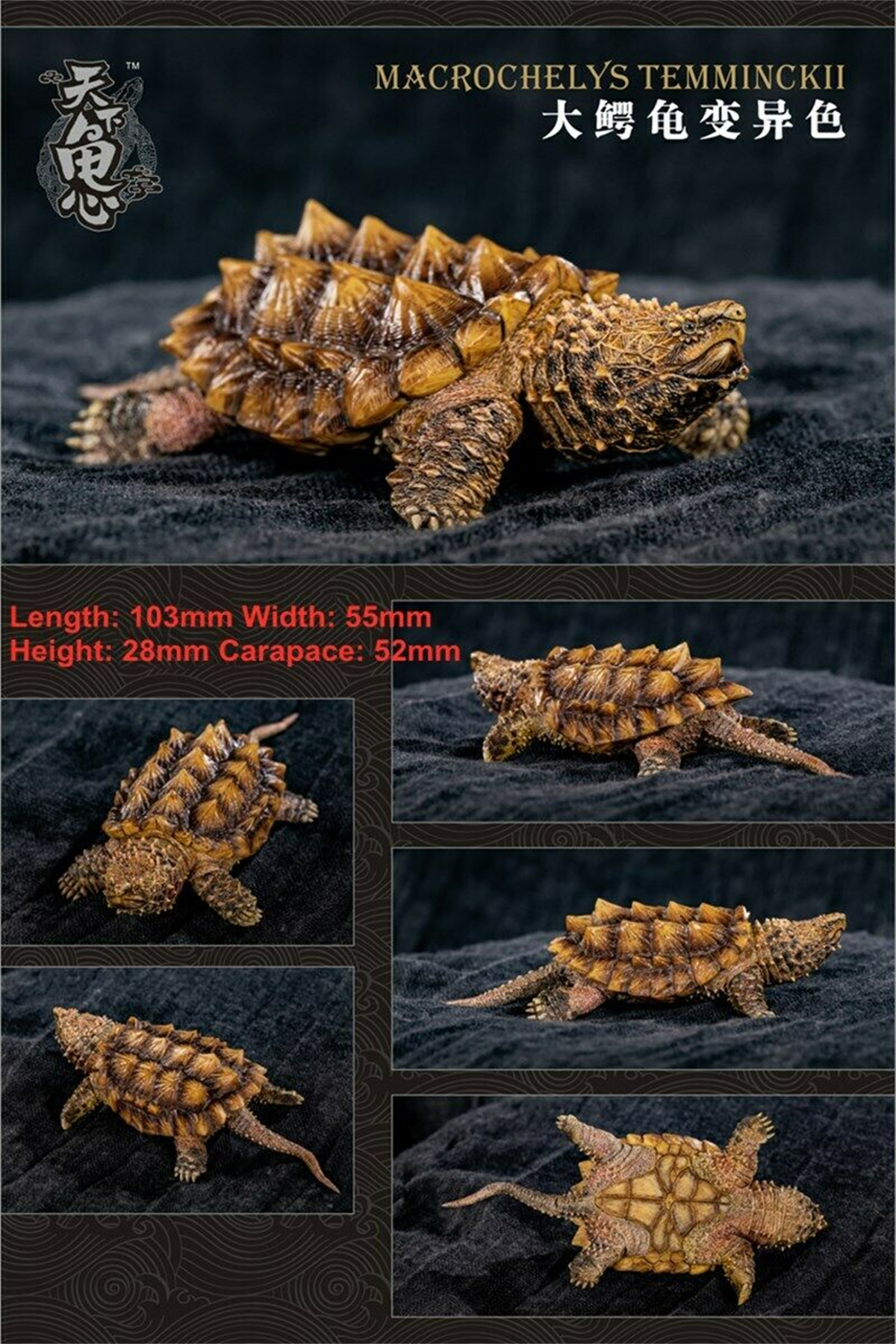 Mini Turtle Model Common Box Turtle Osceola Wild Animal Collector Toys Crafts Souvenirs Gift Doll Car Tea Table Decor Original