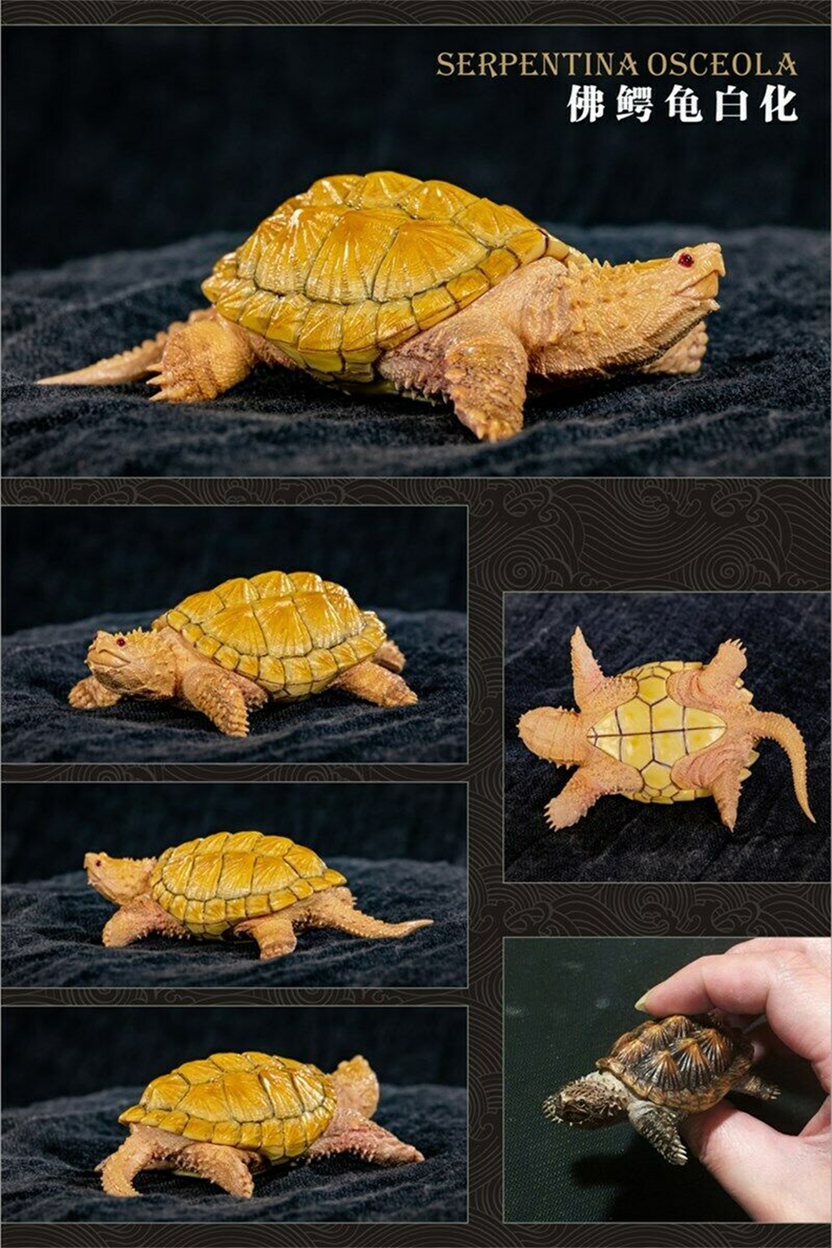 Mini Turtle Model Common Box Turtle Osceola Wild Animal Collector Toys Crafts Souvenirs Gift Doll Car Tea Table Decor Original
