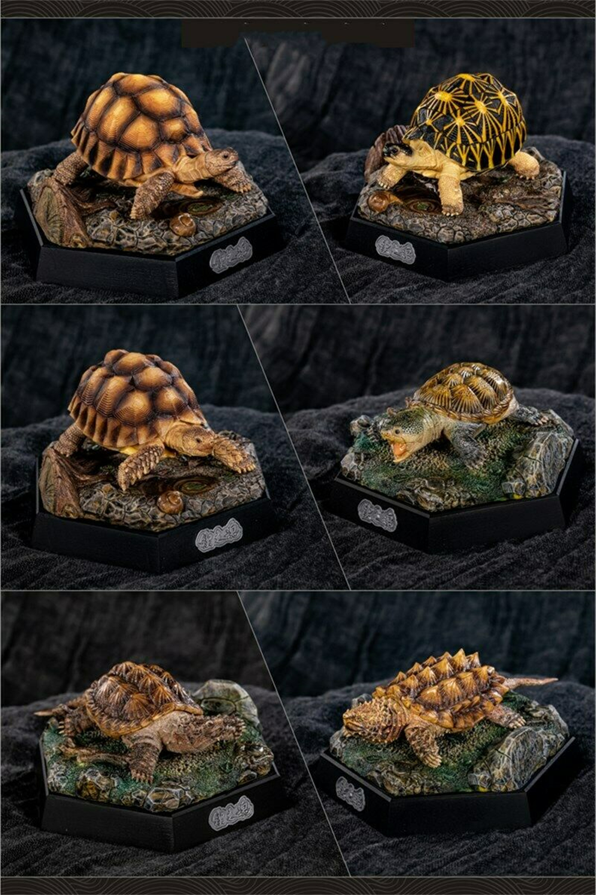 Mini Turtle Model Common Box Turtle Osceola Wild Animal Collector Toys Crafts Souvenirs Gift Doll Car Tea Table Decor Original