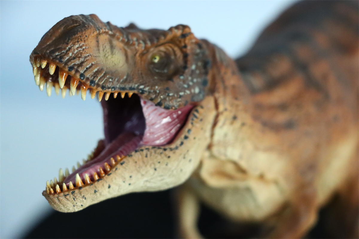 Simulation Tyrannosaurus Rex Figure Ancient Animal Dinasaur Model Collector Decor Toy Gift Dinossauro Model Toy for Kids Gift