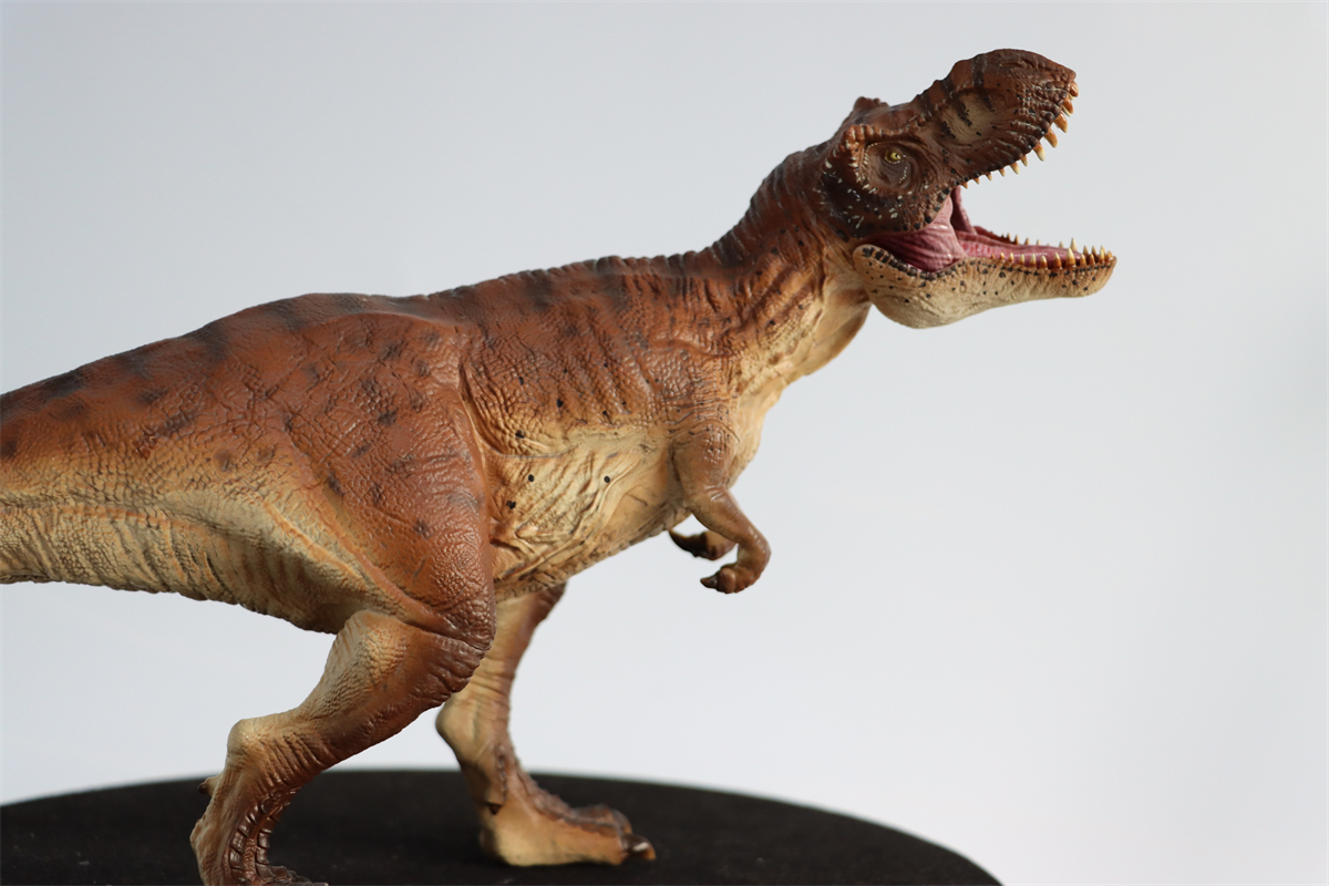 Simulation Tyrannosaurus Rex Figure Ancient Animal Dinasaur Model Collector Decor Toy Gift Dinossauro Model Toy for Kids Gift