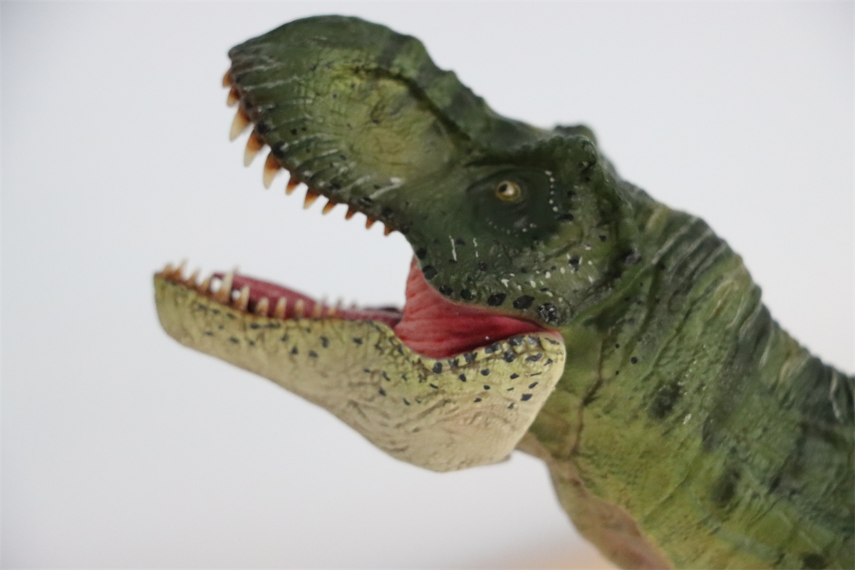 Simulation Tyrannosaurus Rex Figure Ancient Animal Dinasaur Model Collector Decor Toy Gift Dinossauro Model Toy for Kids Gift