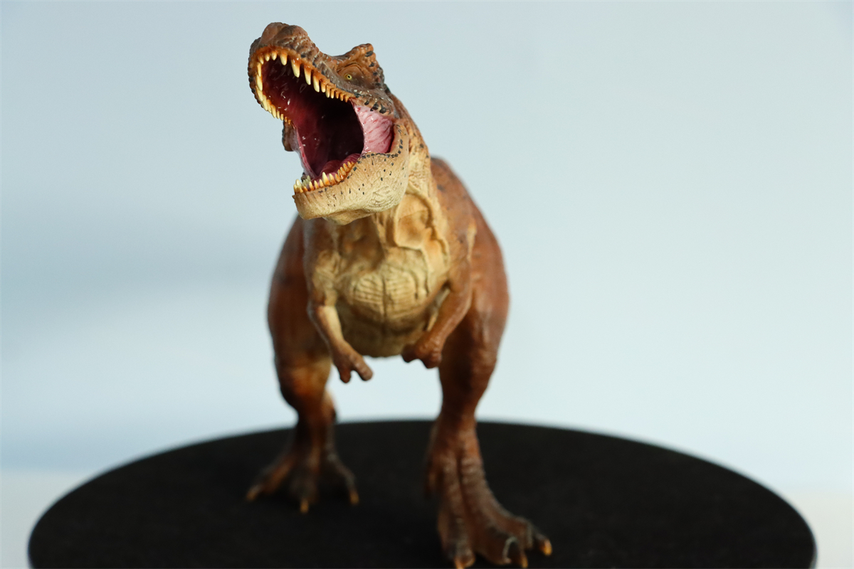 Simulation Tyrannosaurus Rex Figure Ancient Animal Dinasaur Model Collector Decor Toy Gift Dinossauro Model Toy for Kids Gift