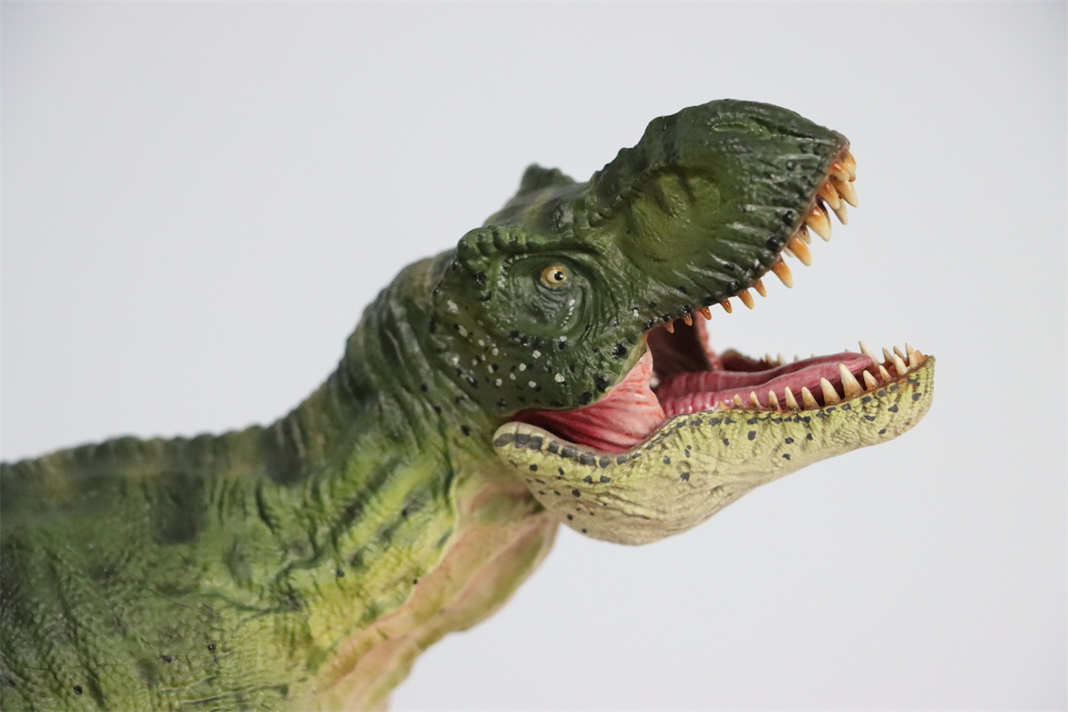Simulation Tyrannosaurus Rex Figure Ancient Animal Dinasaur Model Collector Decor Toy Gift Dinossauro Model Toy for Kids Gift