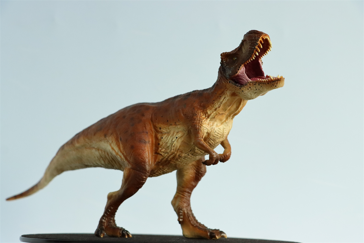 Simulation Tyrannosaurus Rex Figure Ancient Animal Dinasaur Model Collector Decor Toy Gift Dinossauro Model Toy for Kids Gift