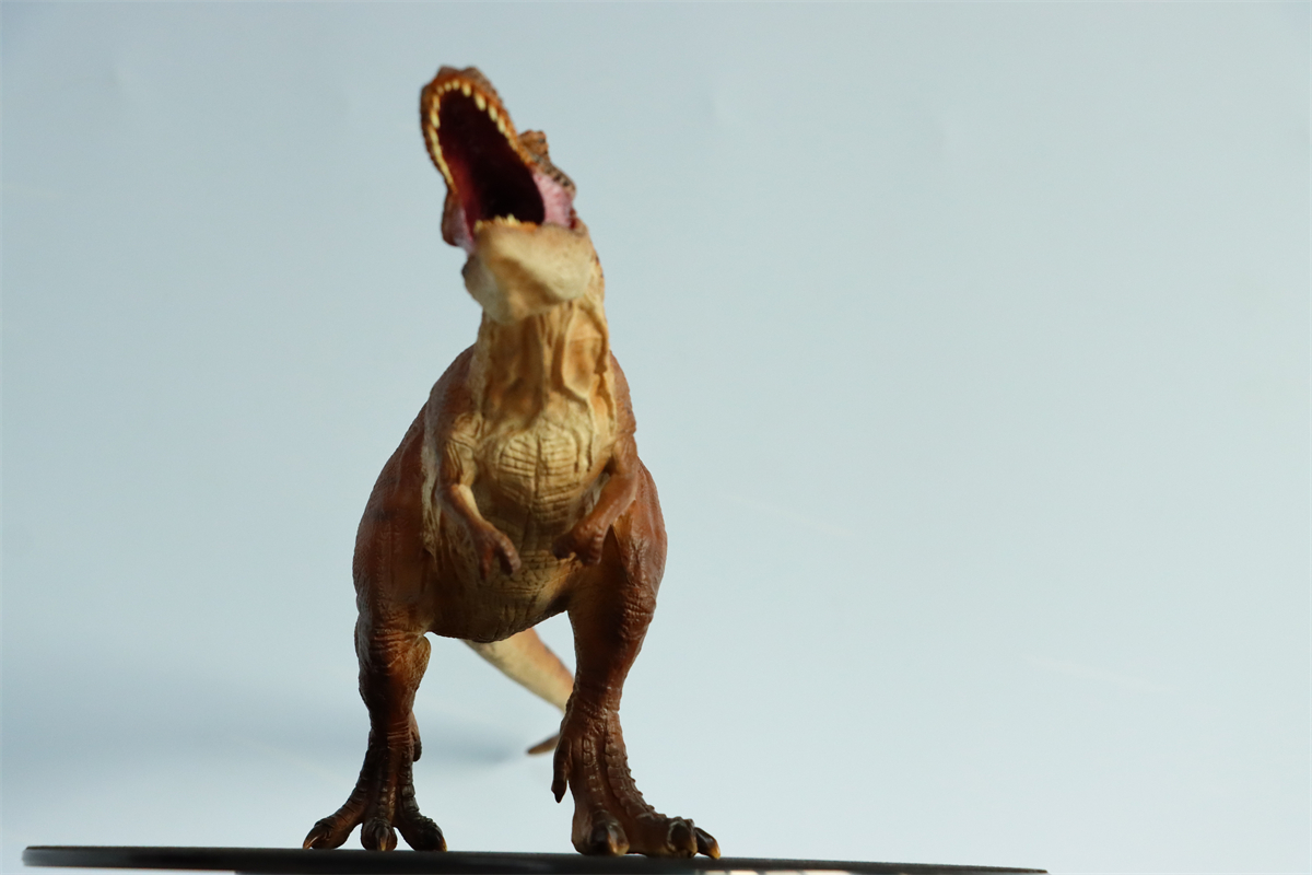 Simulation Tyrannosaurus Rex Figure Ancient Animal Dinasaur Model Collector Decor Toy Gift Dinossauro Model Toy for Kids Gift