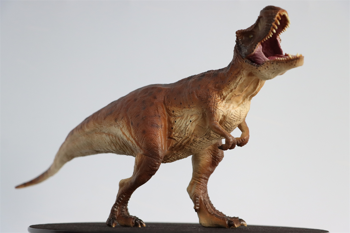 Simulation Tyrannosaurus Rex Figure Ancient Animal Dinasaur Model Collector Decor Toy Gift Dinossauro Model Toy for Kids Gift